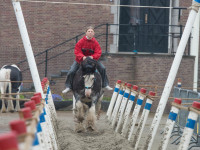 Afdelingswedstrijd 24 augustus 2024