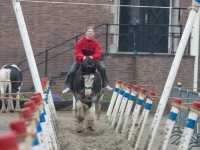 DPI Test 2024