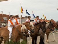 Koppelwedstrijd 31 juli 2024